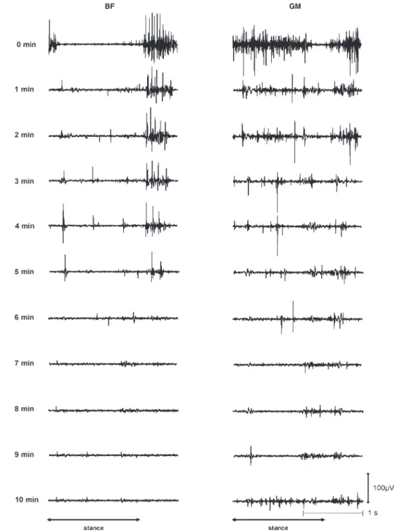 Figure 7 shows the raw EMG recordings of five patients early and late after SCI. In the earlier recordings, leg EMG activity was usually recorded over 20 gait cycles only