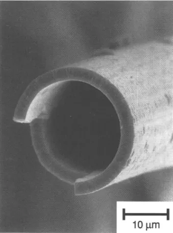 FIG. 3. SEM image of ZnO tube after burning out the polymer fiber fugitive phase by annealing in air at 550 °C for 2 h.