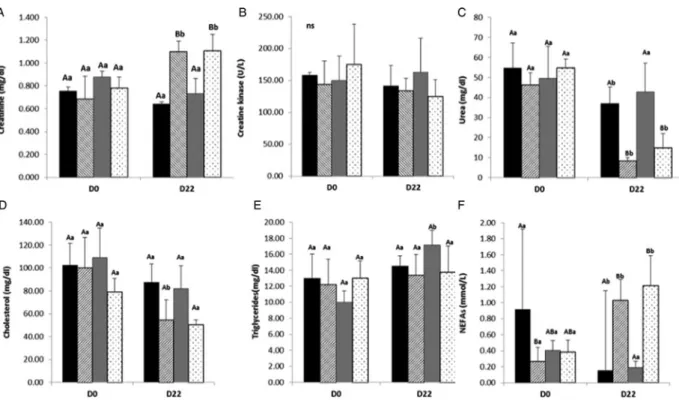 Figure 2C shows the urea concentration in underfed andFig. 2.Mean values and standard deviations forMajoreraandPalmeracontrol and underfed groups at days 0 and 22 of the trial for themetabolites Creatinine (A), Creatine kinase (B), Urea (C), Cholesterol (D