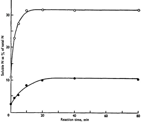 Fig. 1. The rate of release of soluble nitrogen in a K-casein solution (0-5 %) containing rennin (0-14 /xg/ml) at 25 °C and pH 7