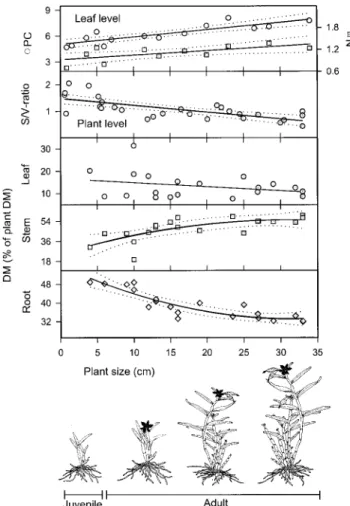 Fig. 1. Size-dependent changes in selected physiological, morpho- morpho-logical and allometric parameters on the organ and the plant level in Dimerandra emarginata