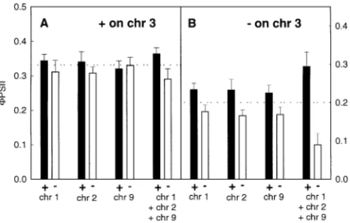 Fig. 5. The effect of allelic composition on FPSII in maize leaves developed at low temperature (experiment 2) from RILs homozygote from the parent carrying a favourable (A) or an unfavourable (B) allele at the nearest marker (see Table 1 for markers names
