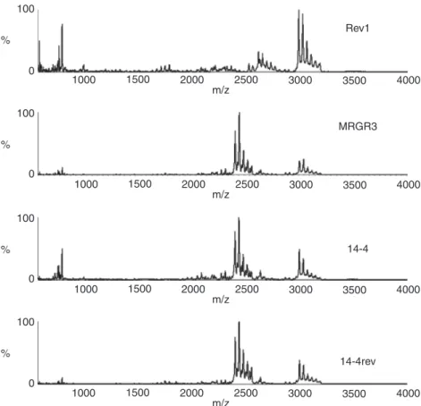 Table 1. Test strain spectra were compared with spectra in the MICROBE- MICROBE-LYNX TM personalized (  ) and software release (  ) databases