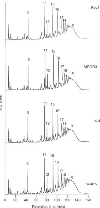 Fig. 4. Muropeptide fingerprints of MSSA Rev1, methicillin-resistant Staphylococcus aureus (MRSA) MRGR3, teicoplanin-resistant strain 14-4 and its teicoplanin-susceptible revertant, 14-4 rev