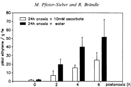 Figure 9. Post-anoxic ethylene release of potato tubers (Solarium tuberosum, var. Desiree)