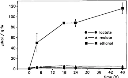 Figure 2. Ethanol, lactate and malate contents in rhizomes of Acorus calamus under anoxia