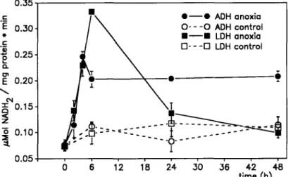 Figure 3. Alcohol and lactate dehydrogenase activity in potato tubers (Solatium tuberosum, var