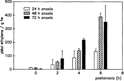 Figure 7. Ethylene release of potato tubers (Solanum tuberosum, var. Desiree) under post-anoxia