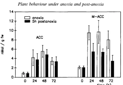 Figure 8. ACC and M-ACC contents of potato tubers (Solanum tuberosum, var. Desiree) under anoxia and after 5 h post-anoxia