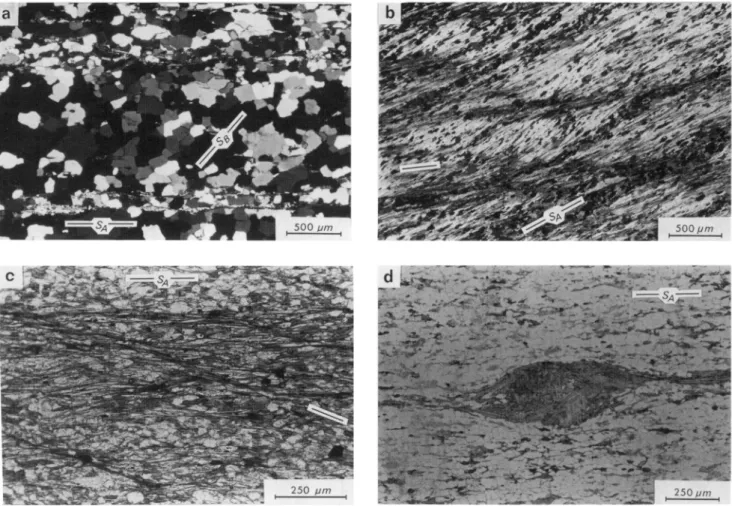Figure 10 Photomicrographs (viewed toward the NE) of schist and mylonitic quartzite from the Harkless Formation exposed in Traverse A; in all cases a dextral (top-to-the-SE) shear sense is indicated by the observed microstructures.