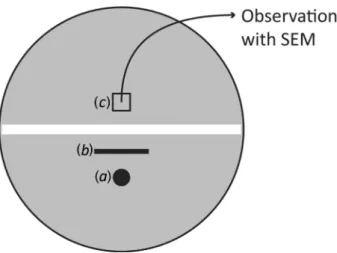 Figure 5. Separated Petri dish used for the confirmation of bacterial dispersal along fungal mycelium