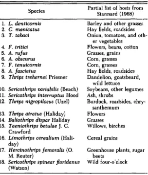 Table 1. Terebrantian thrips species collected from foliage or sticky trap samples collected from wheat, 
