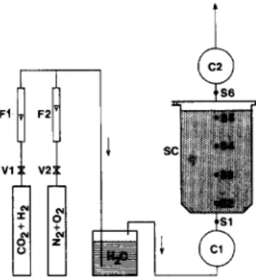 Fig.  3.  Scheme  of  the  experimental  soil  column.  V1,  V2,  precision  valves;  F1,  F2,  flow  meters;  C1,  C2,  gas  counters; 