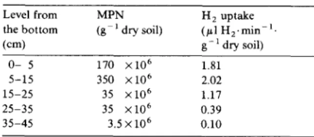 Fig.  5.  A  typical  profile  of  H 2  and  0 2  contents  in  the  soil  column.  Time  after  the  beginning  of  the  experiment,  767  h; 