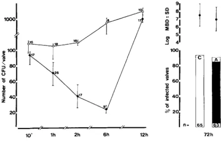 Figure 2. Natural history of en- en-docarditis due to S. intermedius after iv challenge with 10 6 cfu