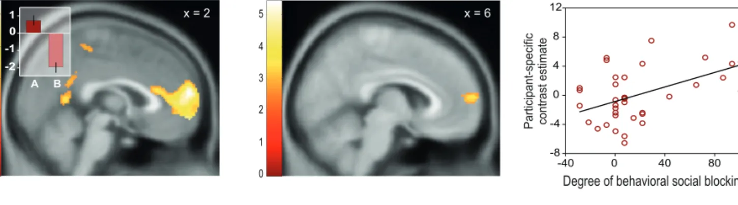 Fig. 2 Activity in mPFC reflects expectation and blocking of social rewards. (A) mPFC responses were higher to reward-predicting A stimuli as compared with neutral B stimuli (2, 60, 16; P&lt; 0.05, FWE- FWE-corrected)