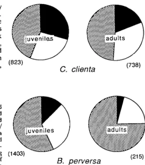 Figure 1. Proportions of juvenile and adult C. clienta and B. perversa hibernating • singly, D in small aggregations, and 0 in large aggregations on stone walls