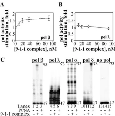 Figure 2. The 9-1-1 complex stimulates DNA polymerase but not DNA polymerase a, d and l