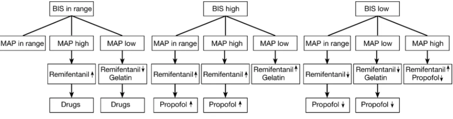 Fig 2 Anaesthetic decision tree during the operation.