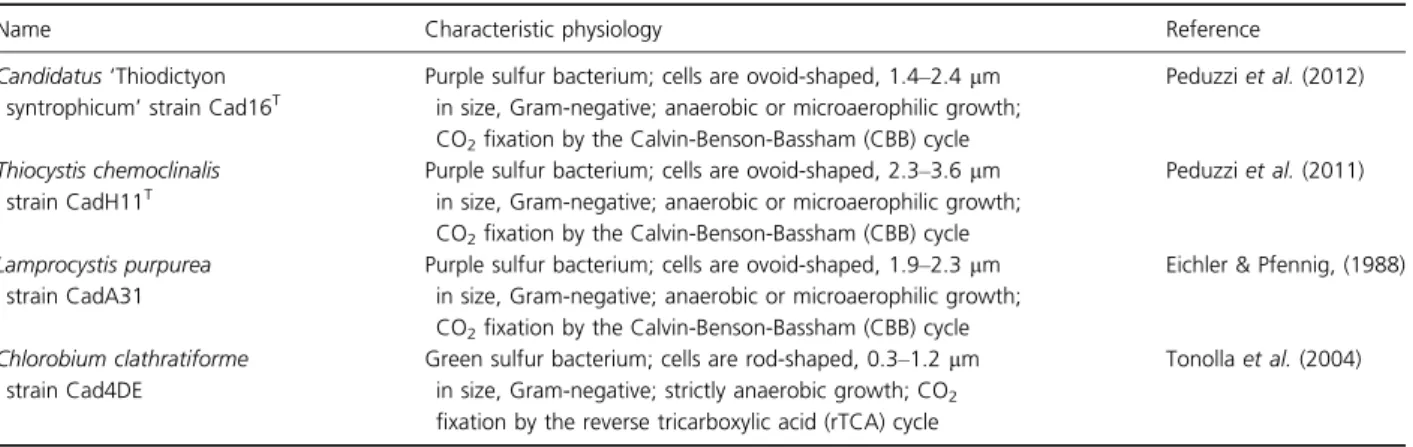 Table 1. Major characteristics of strains used in this study