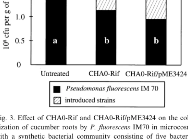 Fig. 3. E¡ect of CHA0-Rif and CHA0-Rif/pME3424 on the colo- colo-nization of cucumber roots by P