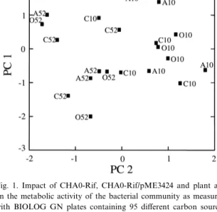 Fig. 1. Impact of CHA0-Rif, CHA0-Rif/pME3424 and plant age on the metabolic activity of the bacterial community as measured with BIOLOG GN plates containing 95 di¡erent carbon sources after 10 days and 52 days