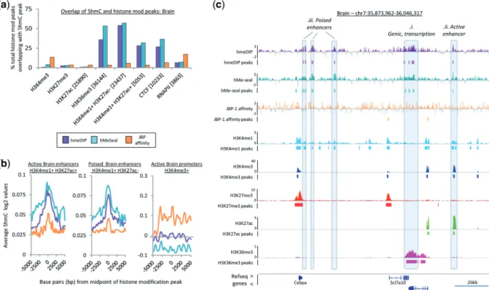 Figure 3. Regions of 5hmC enrichment are associated with select histone modiﬁcations. (a) Overlap between peaks of histone modiﬁcations/DNA binding proteins with peaks of 5hmC derived through the three puriﬁcation techniques in the mouse brain