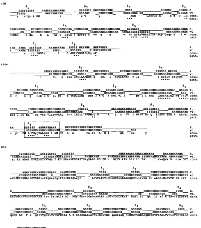 Fig. 4. Weighted state predictions of the seven (/3/a) 8 -barrel enzymes (line 'wt'), aligned to the known secondary structure (line 'X')