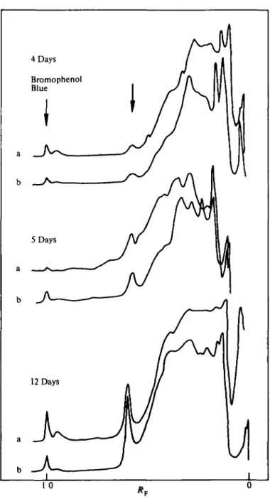 FIG. 2. Densitometer tracing of the electrophoretic patterns of extracts of leaves challenged with C.