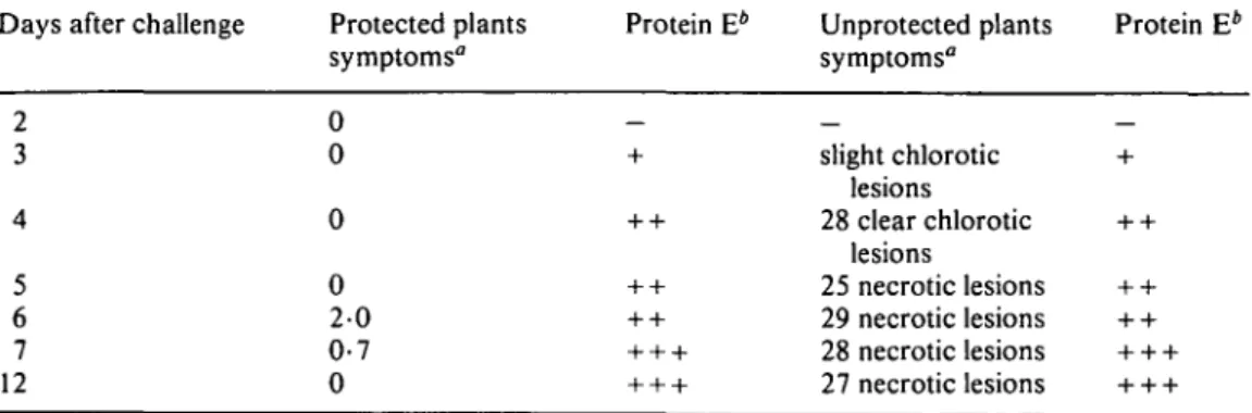 FIG. 3. Determination of the molecular weight of the protein E. Arrow indicates the mobility of the protein E