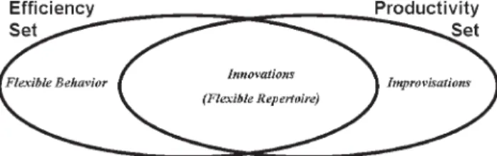 Figure 1 (Khalil). Distinguishing Productivity from Efficiency.