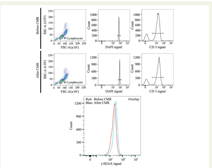 Figure 3 Flow cytometric analysis of double-strand breaks (g-H2AXpositive T-lymphocytes) before and after cardiac magnetic resonance (CMR) scan