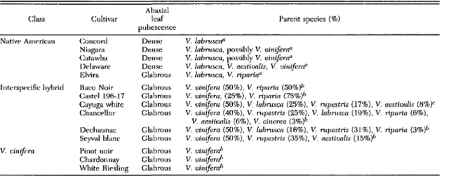 Table 1. GrOI)e eultivors used in field survey and eXI.eriments Class Native American IlItl'rsp,'cinc hybrid V