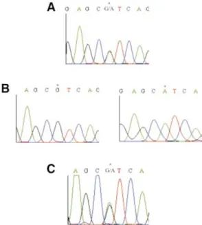 Figure 2. (A) Electropherogram data of a candidate SNP discovered in brown trout by direct sequencing of a re-ampli®ed AFLP band.