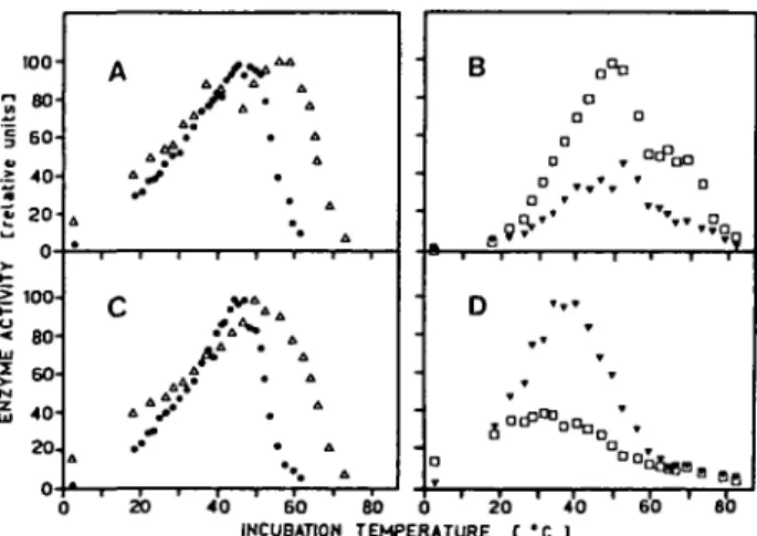 Fig. 1 Effect of incubation temperature on exo- and endopeptidase activities extracted from bush beans