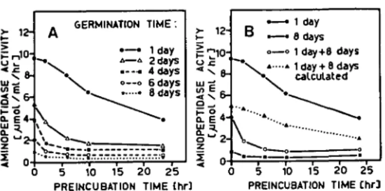 Fig. 2 Aminopeptidase stability in crude extracts from bean cotyledons. Extracts in acetate buffer pH 5.4 containing 0.1% mercaptoethanol were preincubated at 2°C and the remaining activity was measured at different preincubation times