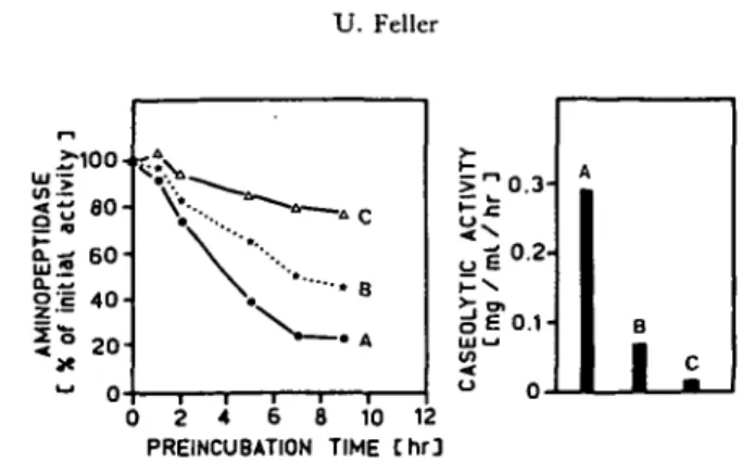 Fig. 5 Effect of tosyl-L-lysine chloromethyl ketone (TLCK) on aminopeptidase stability and on endopeptidase activity