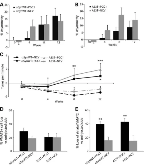 Figure 9. Loss of dopaminergic markers and behavioral assessment in response to PGC-1a overexpression in rats expressing human aSyn