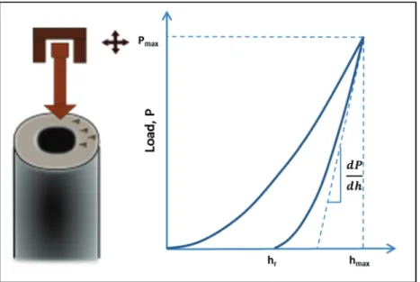 Fig. 4.  Schematic of a nanoindentation test on secondary cell walls with a typical load–displacement curve for an elastic–plastic solid