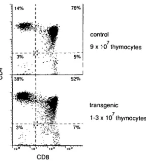 Fig. 6. CD4/CD8 subpopulations of thymocytes. Two-color cytofluoro- cytofluoro-metric analysis of thymocytes for non-transgenic (upper panel) and transgenic mice (lower panel)