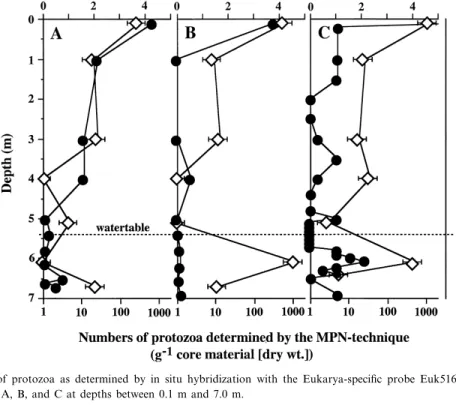 Fig. 5. Total number of protozoa as determined by in situ hybridization with the Eukarya-speci¢c probe Euk516 ( b ) and by the MPN technique (7) in cores A, B, and C at depths between 0.1 m and 7.0 m.