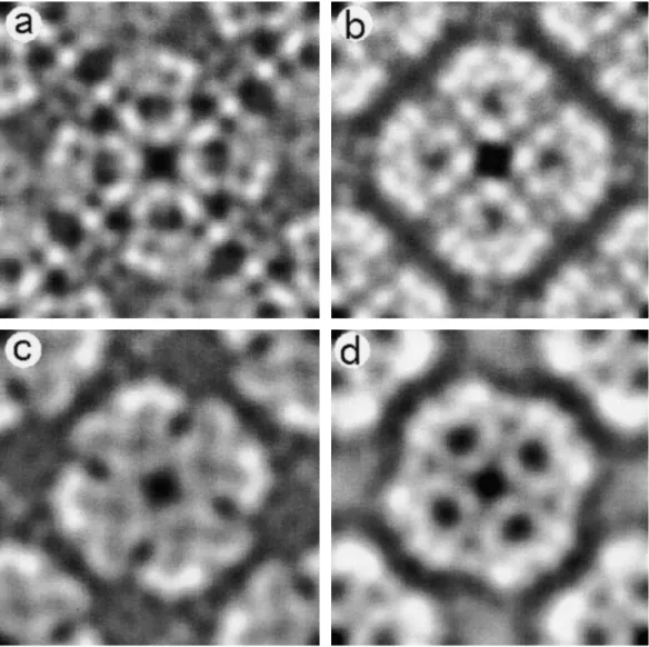 Fig. 1. Projection maps of water channel proteins acquired by cryo-electron microscopy