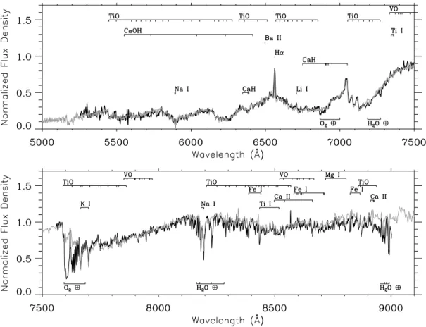 Figure 4. DOLORES on-eclipse spectrum (top), the ISIS red spectrum (bottom) and the active M4V template (in grey)