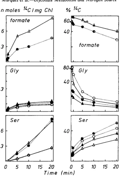 FIG. 2. Time course of '*C incorporation into formate, glycine and serine in nmoles '*C mg ' chlorophyll, and the corresponding values as percent of soluble  14 C (see Fig