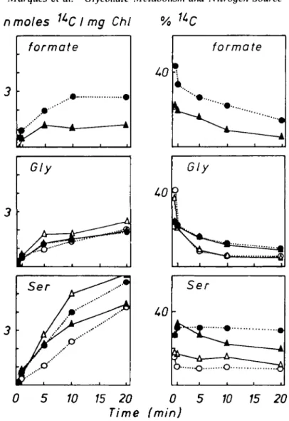 FIG. 5. Time course of '*C incorporation into formate, glycine and serinc in nmolcs '*C mg ' chlorophyll, and corresponding activities expressed as percent of soluble  14 C (see Fig