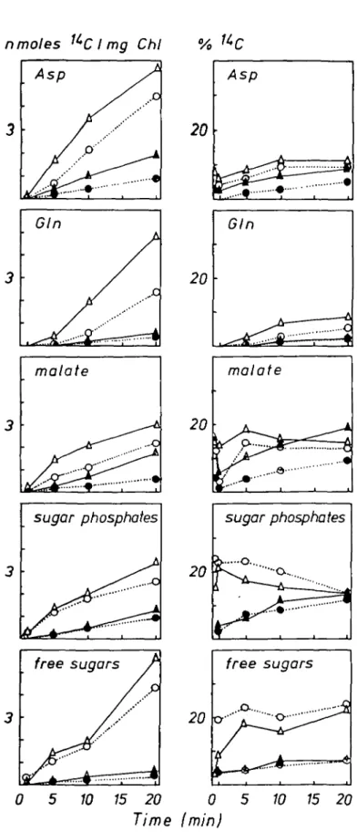 FIG. 6. Time course of   I 4 C incorporation into aspartate, glutamine, malate, sugar phosphates and free sugars in nmoles '*C mg~' chlorophyll, and corresponding activities expressed as percent of soluble '*C (see Fig
