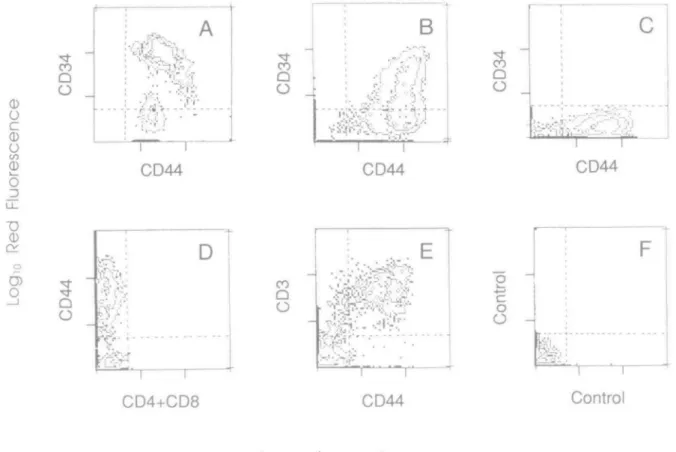 Fig. 1. CD44 is expressed in early T cell precursors and down-modulated during intrathymic development