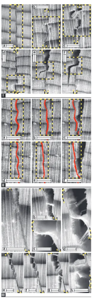 Figure 4    (I) Different formations of predamage: (a) Elastic deforma- deforma-tions without visible precracks in adherends and no influence on  CP