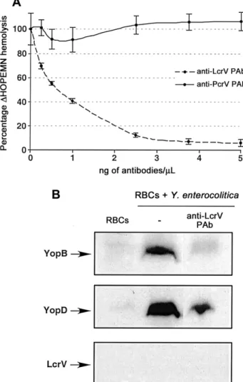 Figure 4. Immunoprotection of red blood cells (RBCs) from DHOPEMN- DHOPEMN-induced hemolysis, by use of anti-LcrV or anti-PcrV antibodies