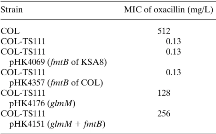 Figure 5. Western blot of fractions from S. aureus strain COL.